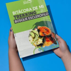 Bitácora de Exploración "Trekking en el Bosque Esclerófilo" - Guía de Actividades